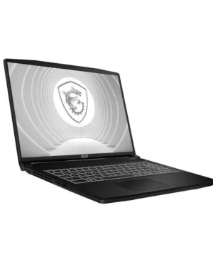 MSI CreatorPro M16 B13VJ-002FR