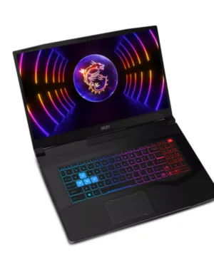 MSI Katana 15 B12VFK-060FR - Dragon Station: Caractéristiques et informations sur le produit