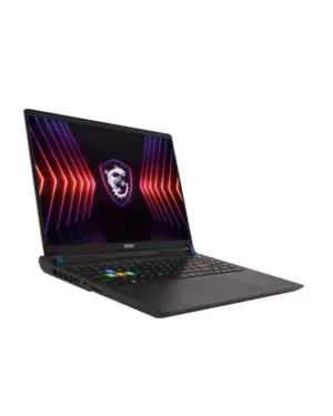 MSI Vector 16 HX A14VIG-299FR Ordinateur portable 40,6 cm (16") Quad HD+ Intel® Core™ i9 i9-14900HX 32 Go 1 To SSD NVIDIA GeF